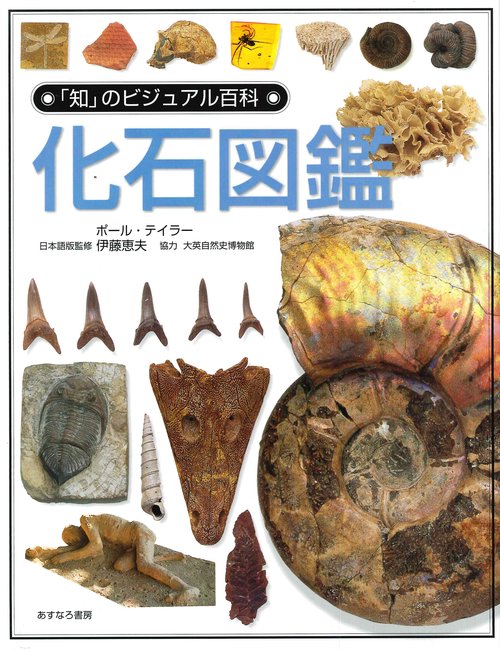 化石図鑑
