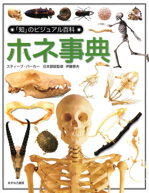 ホネ事典