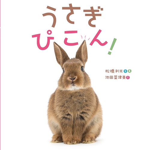 うさぎ ぴこん！