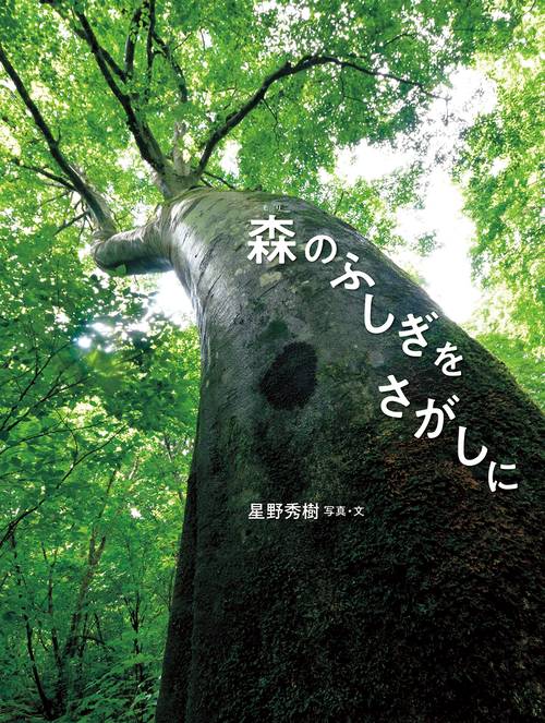森のふしぎをさがしに