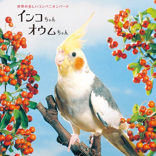 インコちゃんオウムちゃん 世界の美しいコンパニオンバード