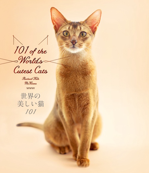 世界の美しい猫101