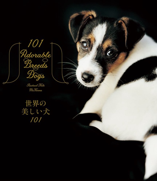 世界の美しい犬101