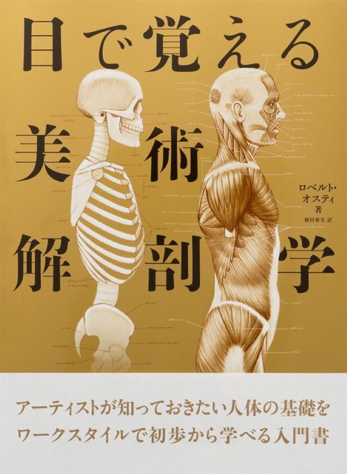 目で覚える美術解剖学