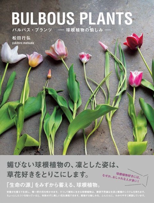 BULBOUS PLANTS バルバス・プランツ