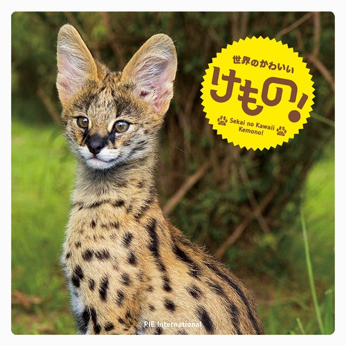 世界のかわいいけもの！
