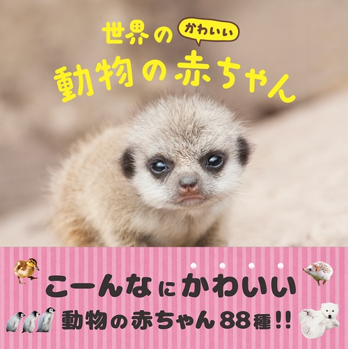 世界のかわいい動物の赤ちゃん