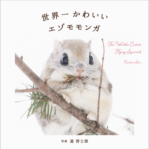 世界一かわいいエゾモモンガ