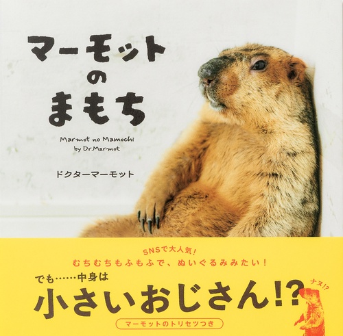 マーモットのまもち – 丸善ジュンク堂書店ネットストア