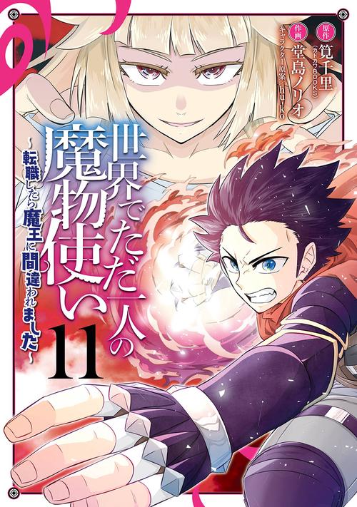 世界でただ一人の魔物使い　転職したら魔王に間違われました（11）(完)