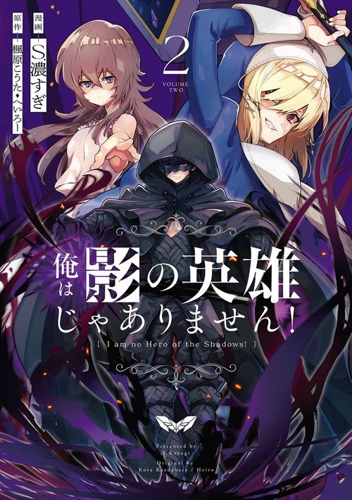 俺は影の英雄じゃありません！（コミック）（2）