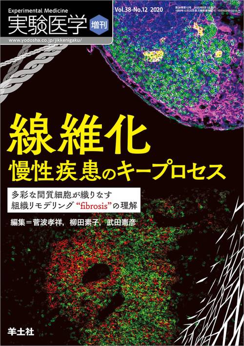 線維化　慢性疾患のキープロセス