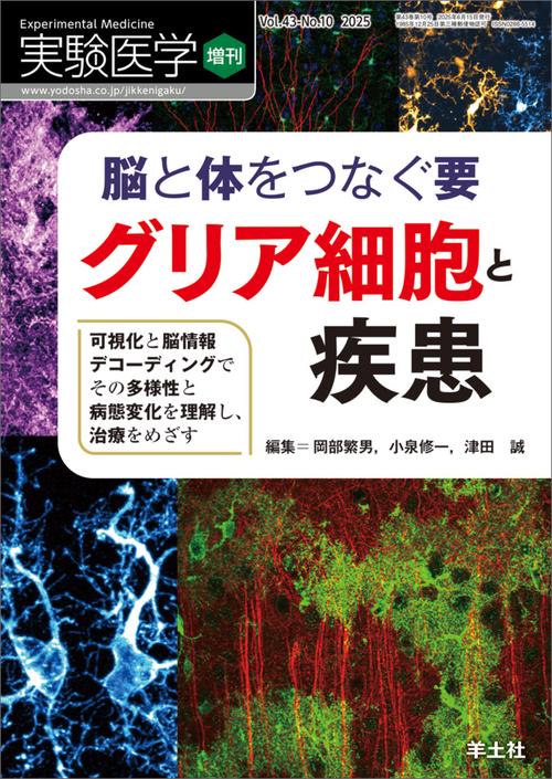 脳と体をつなぐ要　グリア細胞と疾患