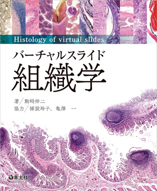 バーチャルスライド　組織学