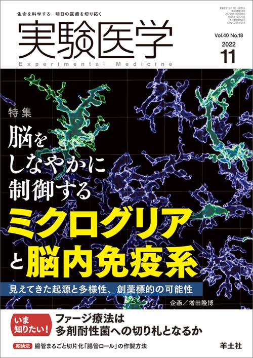 実験医学2022年11月号
