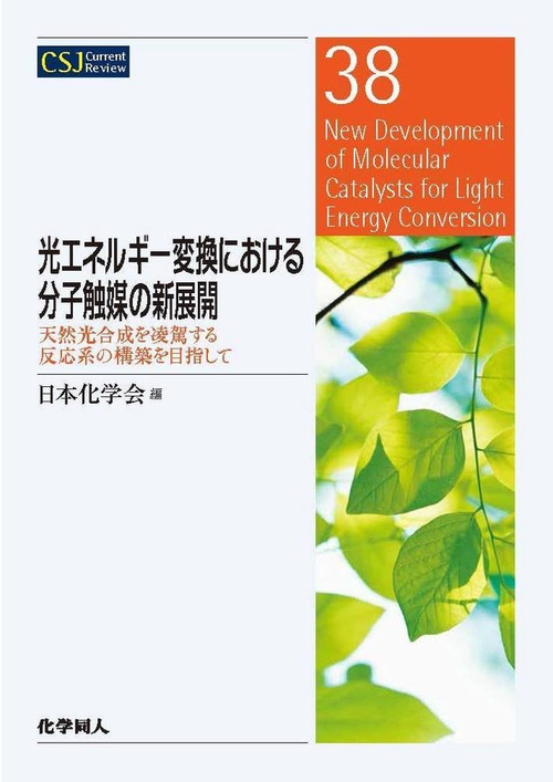 光エネルギー変換における分子触媒の新展開