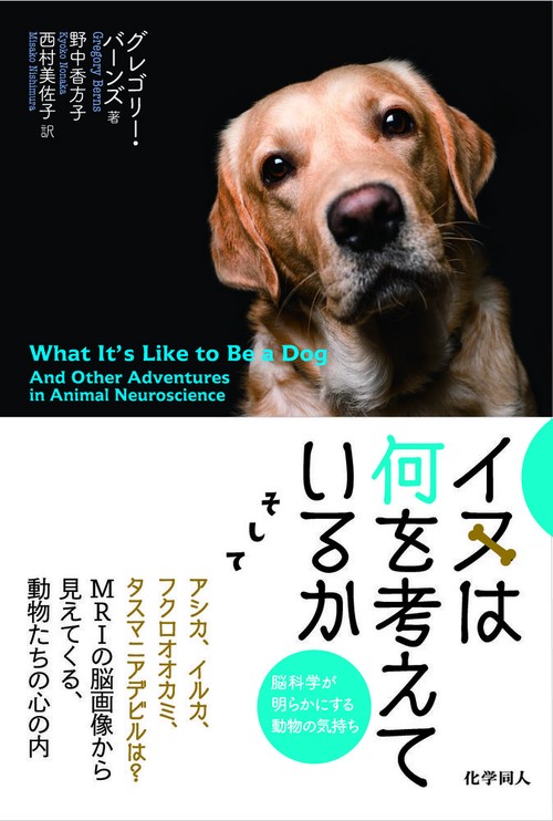 イヌは何を考えているか