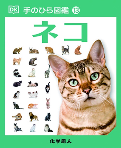 ネコ (手のひら図鑑:13)