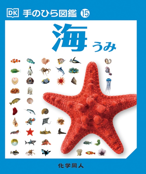 海 (手のひら図鑑:15)