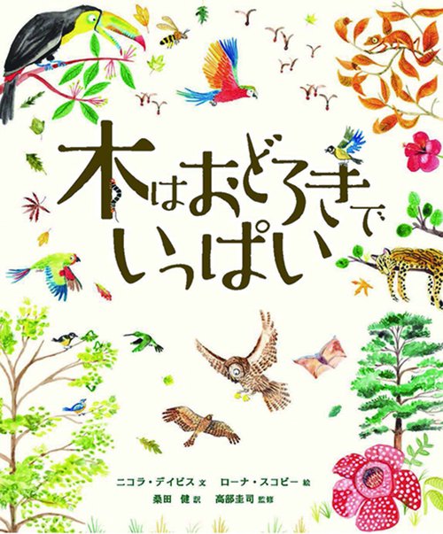 木はおどろきでいっぱい