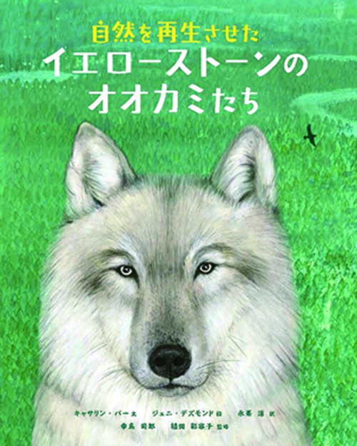 自然を再生させたイエローストーンのオオカミたち