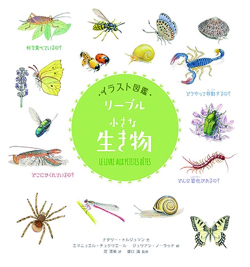 イラスト図鑑　リーブル「小さな生き物」