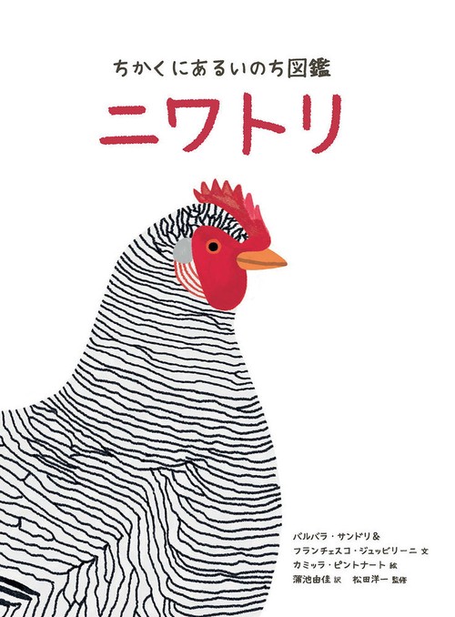 ちかくにあるいのち図鑑　ニワトリ