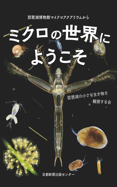 ミクロの世界にようこそ