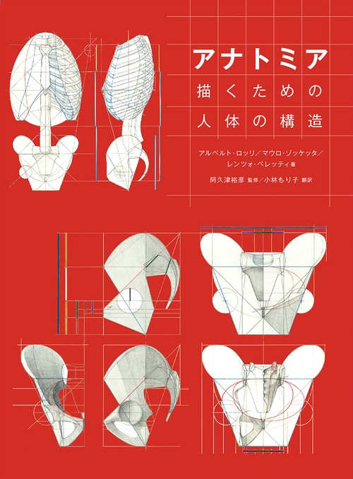 アナトミア　描くための人体の構造