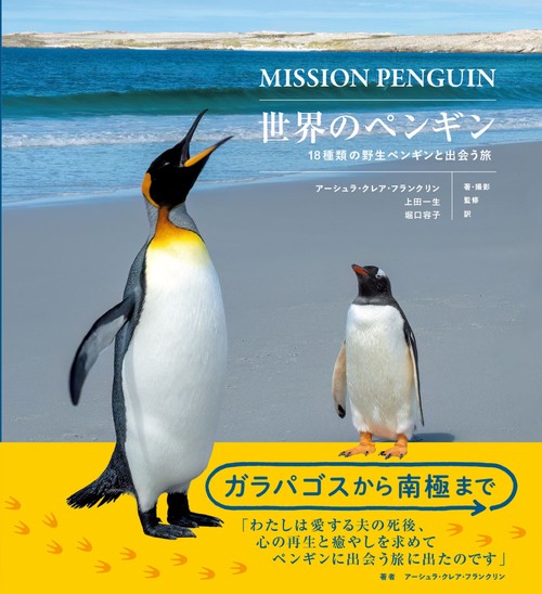 世界のペンギン