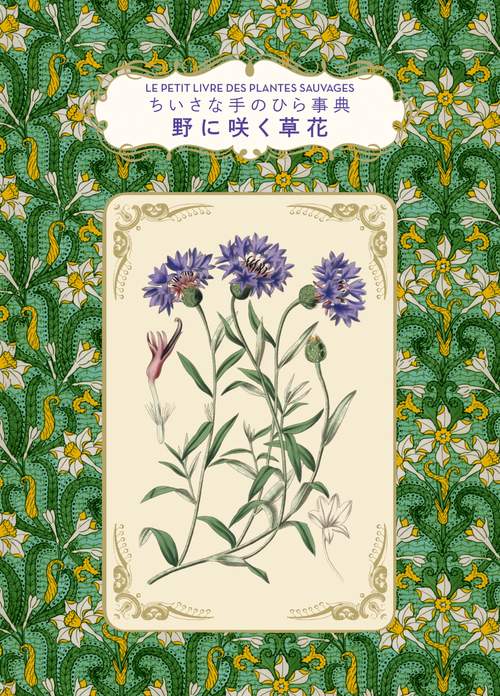 野に咲く草花