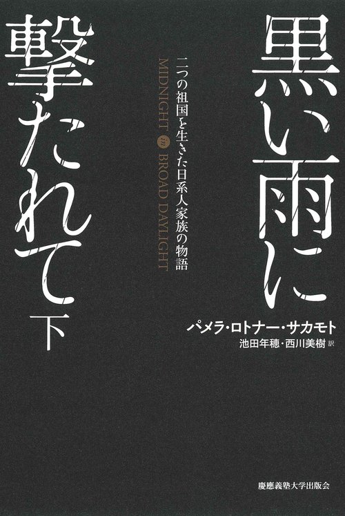 黒い雨に撃たれて　下