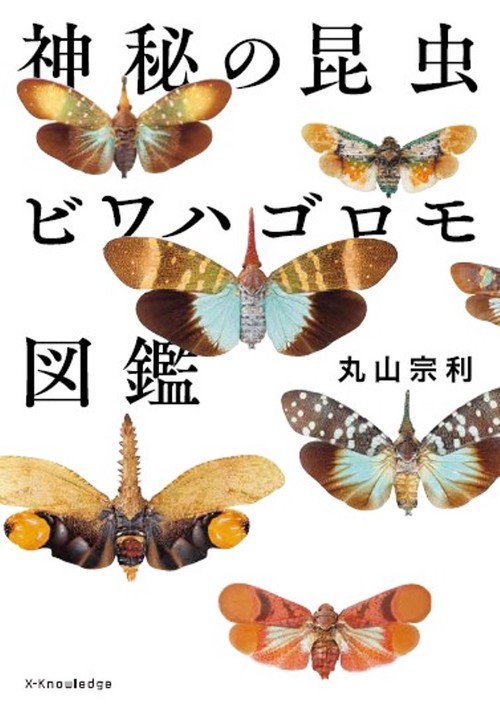 神秘の昆虫　ビワハゴロモ図鑑