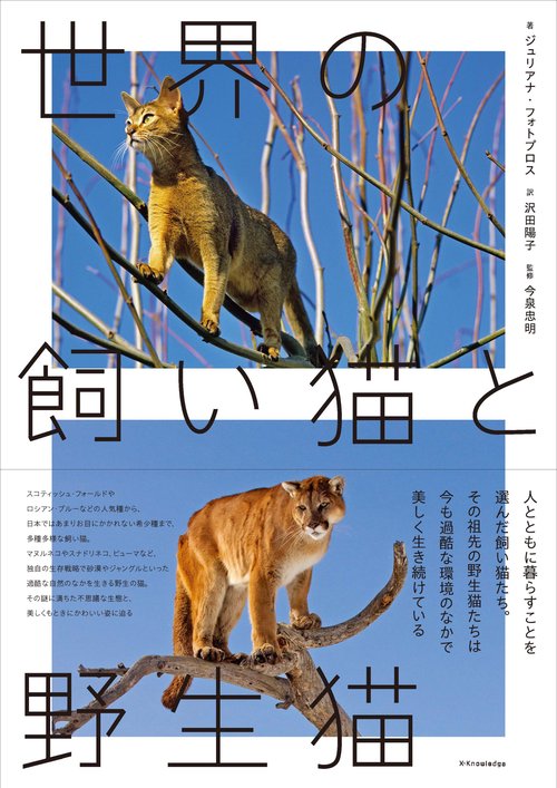 世界の飼い猫と野生猫