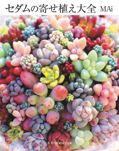 ★★セダム畑❤️★ちまちまキュンキュン★寄せ植え★このまま飾れます★多肉植物 セダムの寄せ植え大全 – 丸善ジュンク堂書店ネットストア