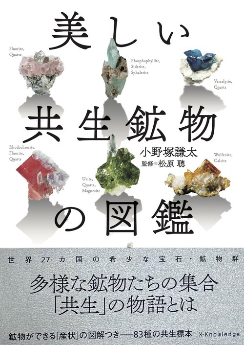 美しい共生鉱物の図鑑