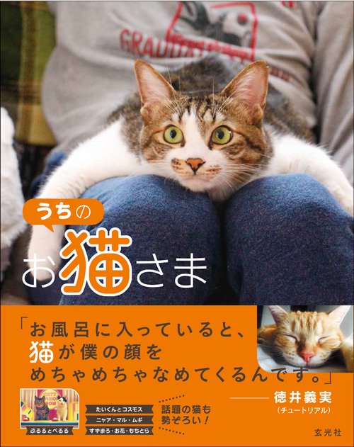 うちのお猫さま