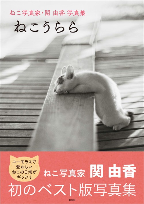 ねこうらら ねこ写真家・関由香写真集