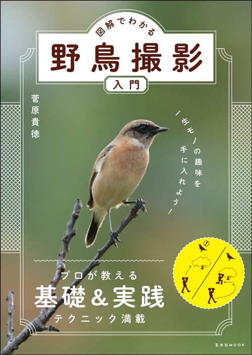 図解でわかる野鳥撮影入門