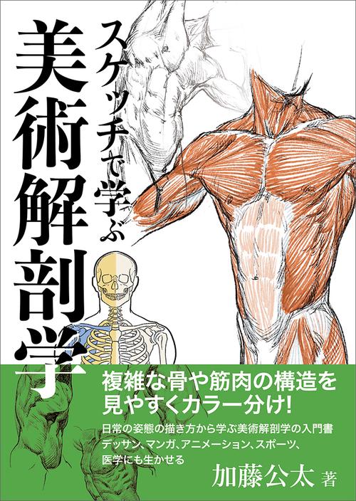 スケッチで学ぶ美術解剖学