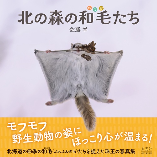 北の森の和毛たち