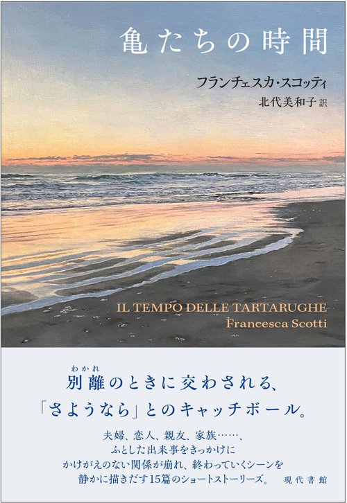 亀たちの時間