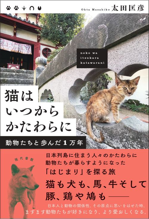 猫はいつからかたわらに