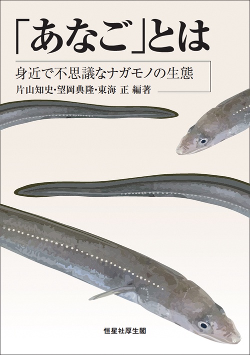 「あなご」とは