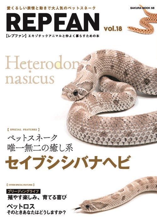 REP FAN vol.18