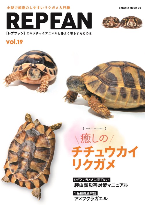 REP FAN vol.19