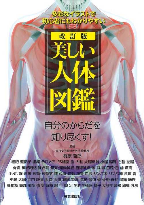 改訂版　美しい人体図鑑