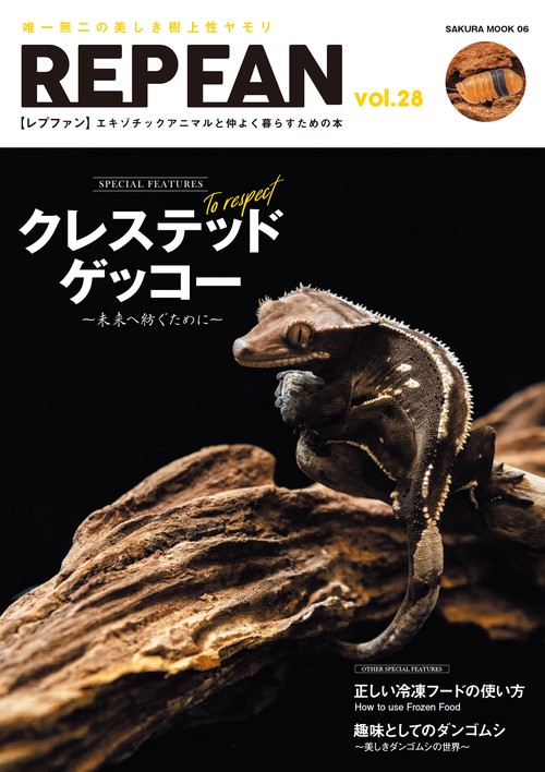 REPFAN vol.28