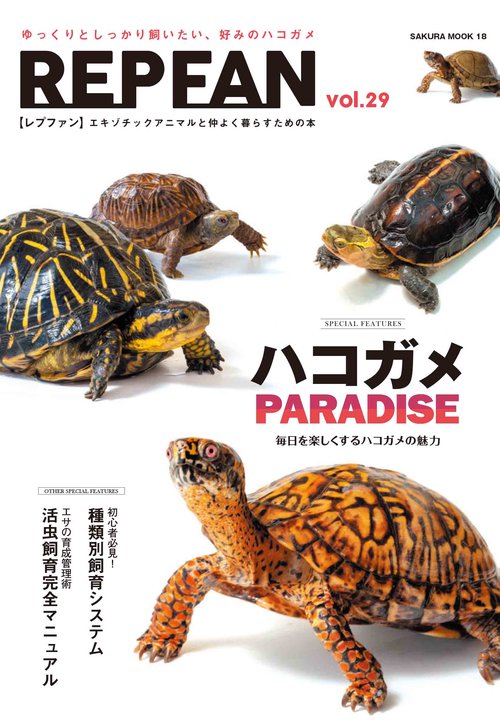 REPFAN vol.29