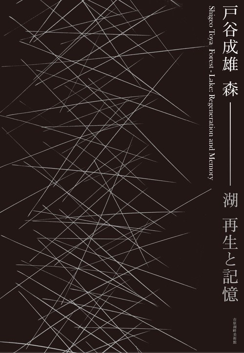 戸谷成雄　森湖：再生と記憶